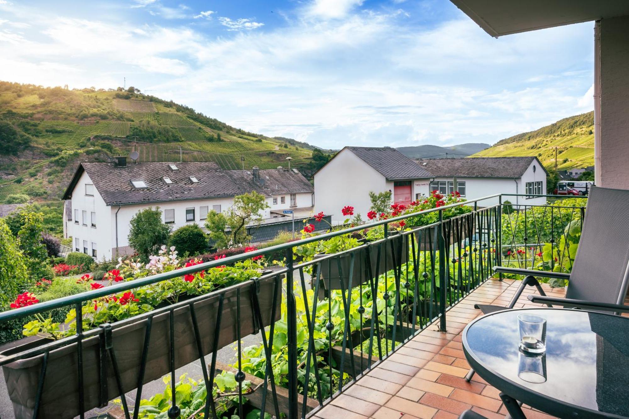 Bed and Breakfast Ferienweingut Hirschen Schulstrasse Burg  Esterno foto