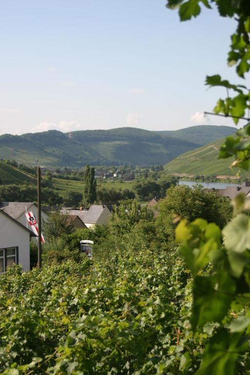 Bed and Breakfast Ferienweingut Hirschen Schulstrasse Burg  Esterno foto