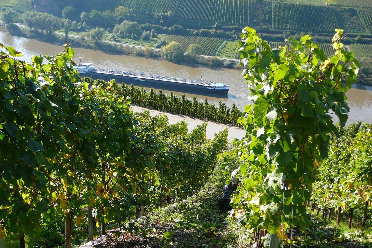Bed and Breakfast Ferienweingut Hirschen Schulstrasse Burg  Esterno foto